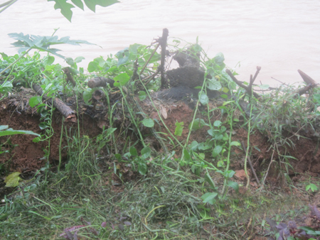 ...[-]những[-]mảng[-]đất[-]chuẩn[-]bị[-]sạt[-]lở...